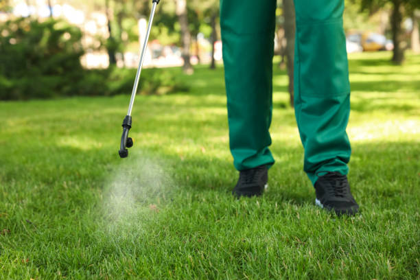 Professional Pest Control in Carl Junction, MO