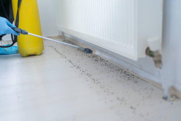 Pest Control Cost in Carl Junction, MO